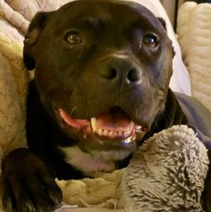 Meet your Posher, Carri